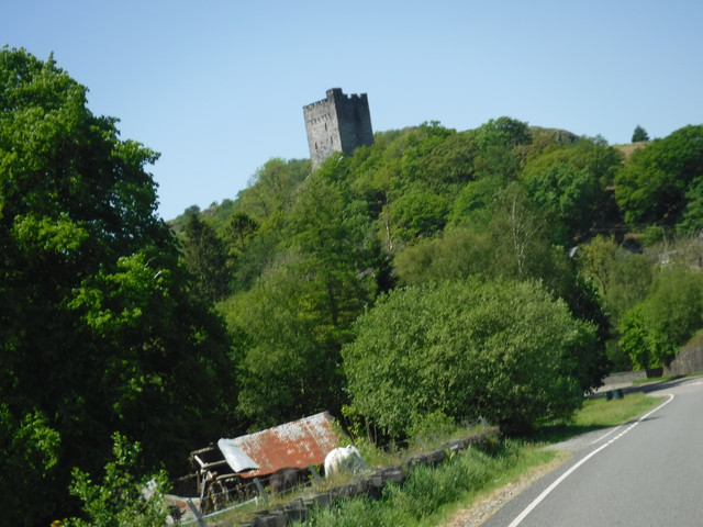 DSCF7887.jpg