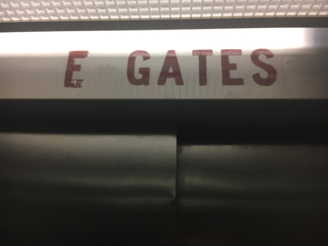 IMG-7356