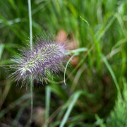 DSC7312