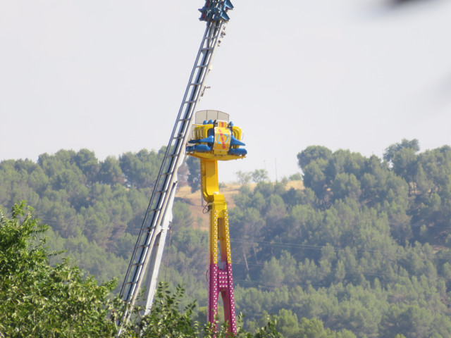 IMG-1729