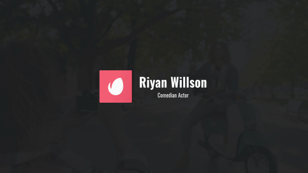 Professional Logo Lower Thirds Set Professional Logo Lower Thirds Set