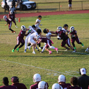 IMG-5217