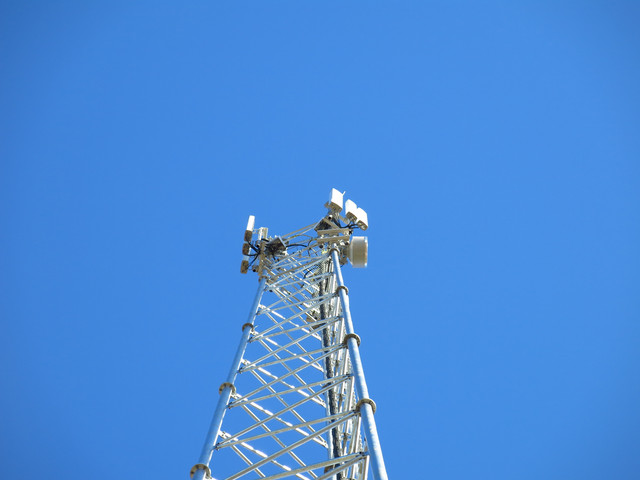IMG-3389