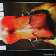 IMG-7715