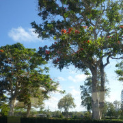 P1070574