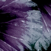 005-6