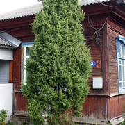 MG-6114