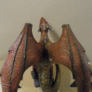 drache55