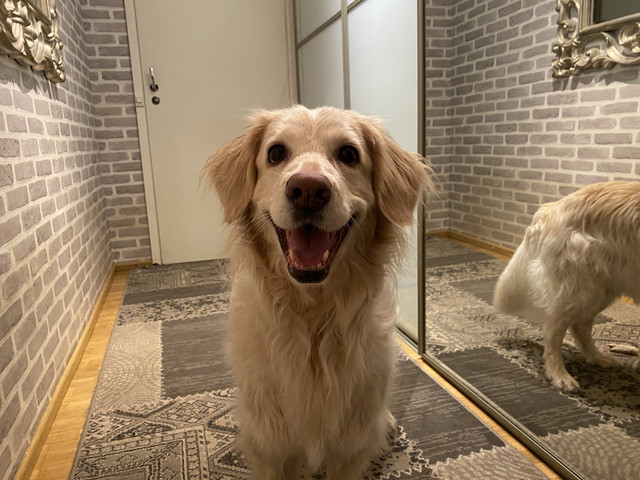 98567-BE1-3-ECC-4-F44-B3-E9-6-B30-BB8-A5