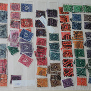 IMG-2055