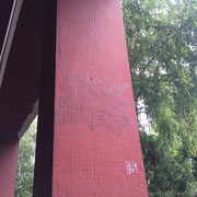 IMG-6497