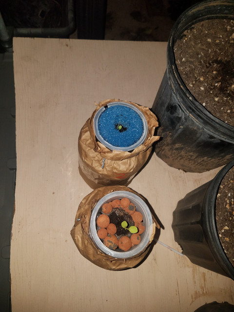 20191105-181527.jpg
