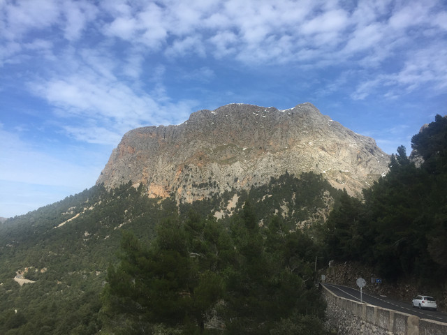 IMG 0643