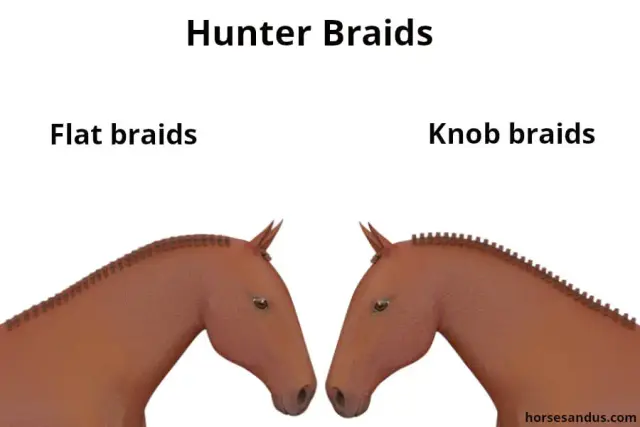 braid-Styles-hunter-comparison-gimp