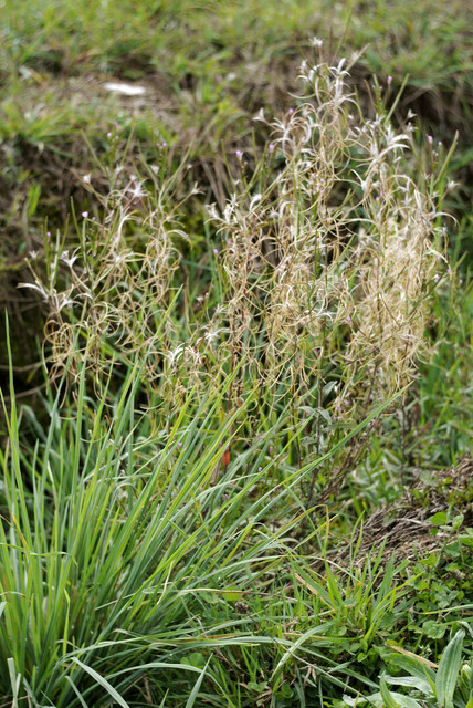 DSC7163.jpg