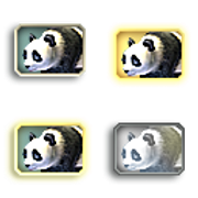 PandaGiant_Adult_M