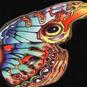 butterflsweet2