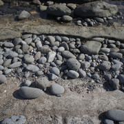 DSC01009