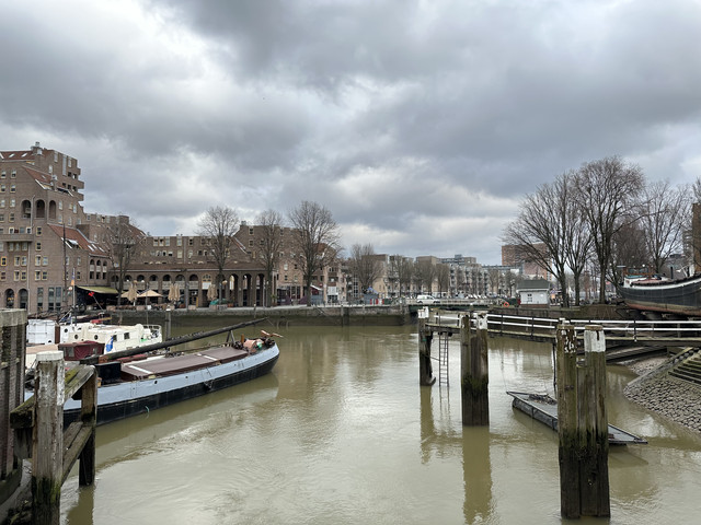 IMG-8795