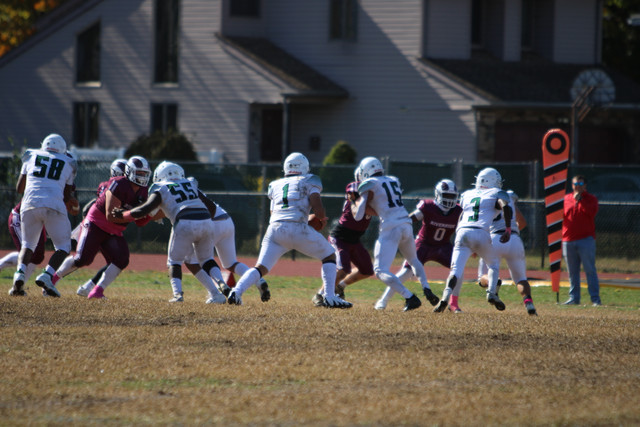 IMG-8225.jpg