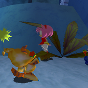 Maracas-competition