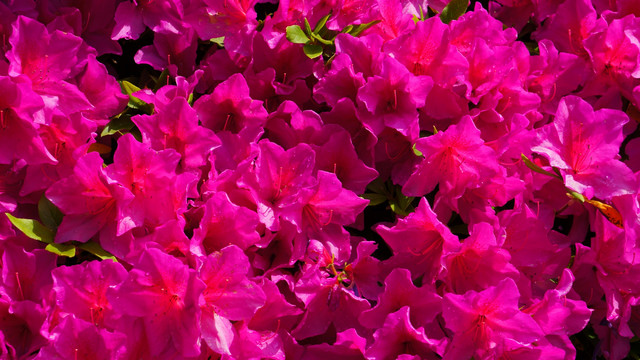 2014050721472742e