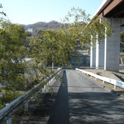2012-01-09-018