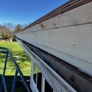 IMG-1874