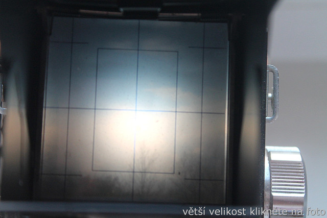 IMG-9802.jpg