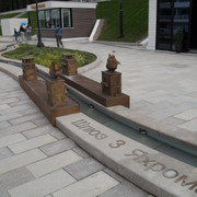 DSC07368