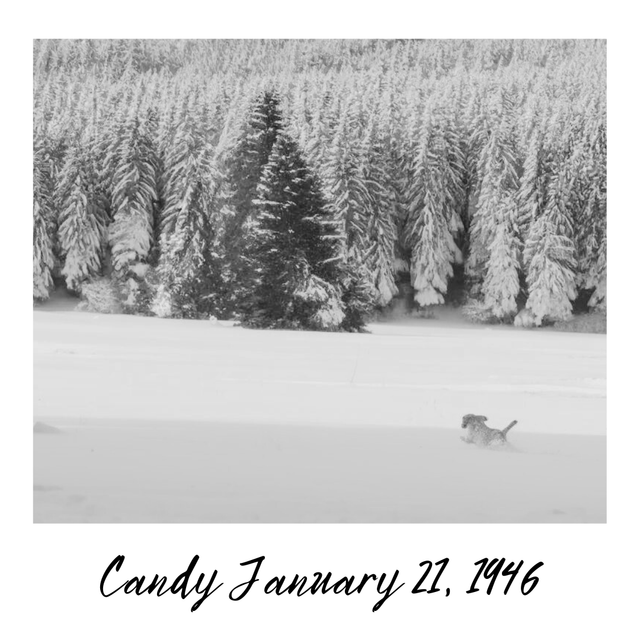 Candy-December-1-1945-1