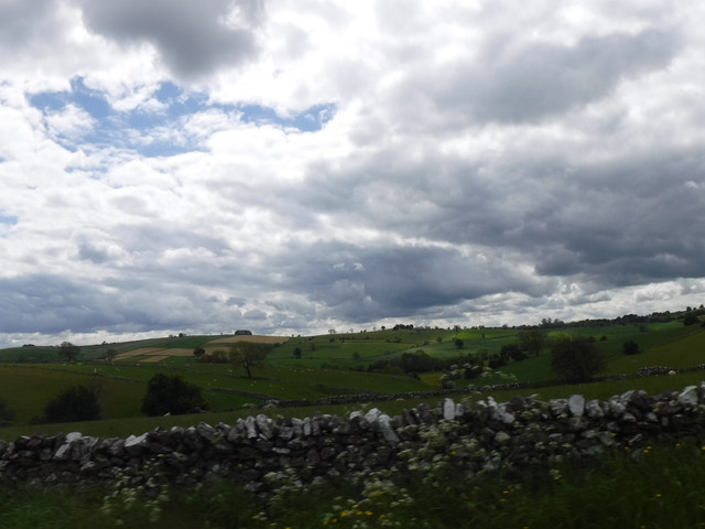 DSCF6072.jpg