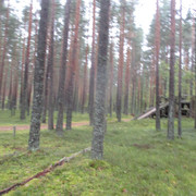 IMG-9745
