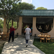 IMG-1306
