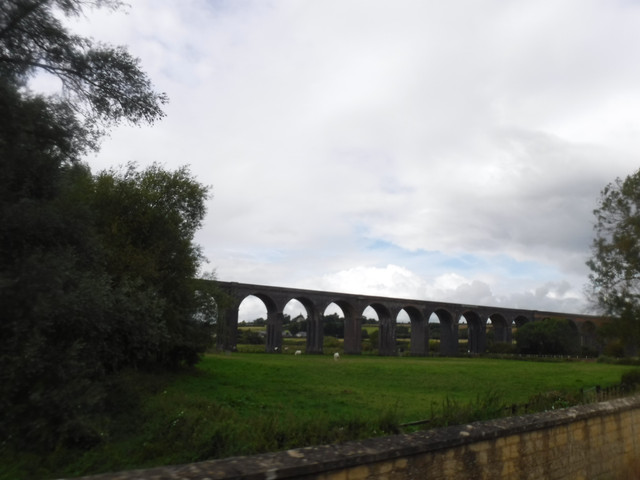 DSCF7617.jpg