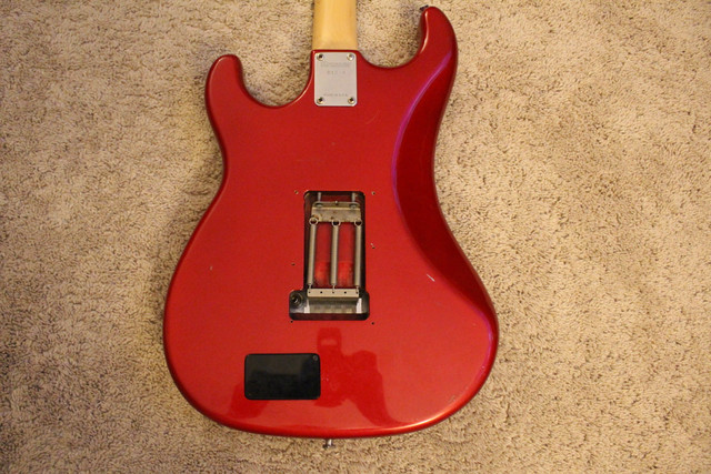 IMG-0365.jpg