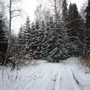 DSC00359