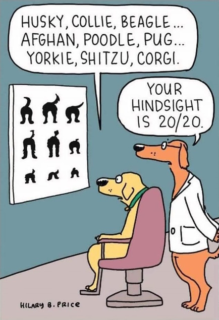 hindsight2020.jpg