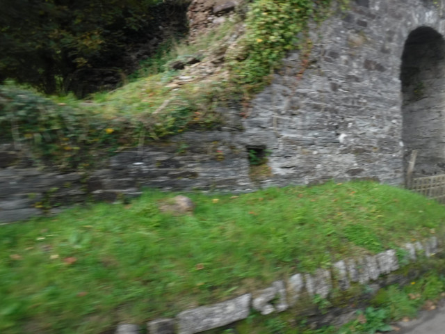 DSCF6762.jpg