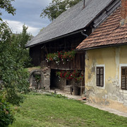 IMG-2832