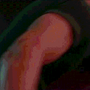 image.gif