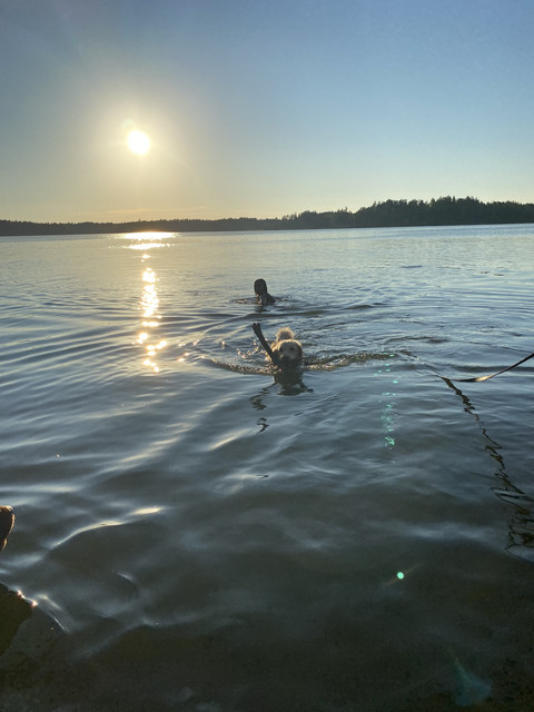 C09445-F1-39-C1-4-BCE-A75-F-D8-B38-D3-DE