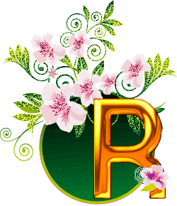 r.gif
