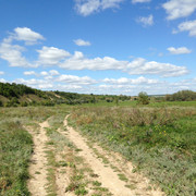 IMG-4113