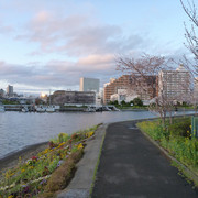 2014-03-30-054
