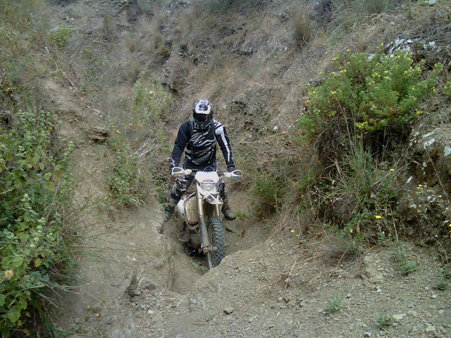 IMG-0415.jpg