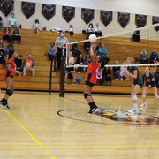 IMG-0232