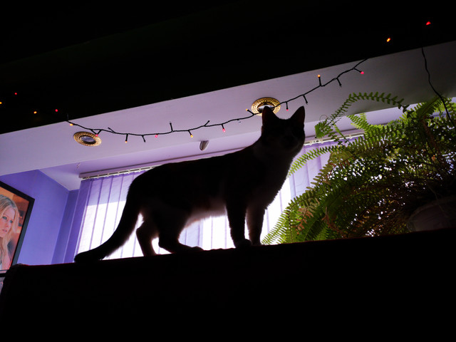 IMG-20220125-150337