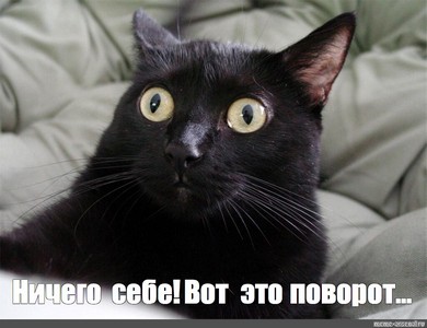 78044cfcd86df7c4307fd521ee939d85.jpg