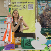 IMG-6505